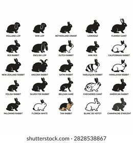Collection of various rabbit breed silhouettes on a white background.
