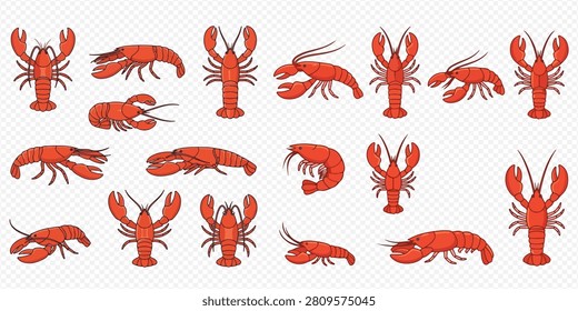A collection of various red lobster and shrimp illustrations, presented in different poses and angles, ideal for seafood-related designs.