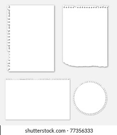 Collection Of Various Ripped Note Paper