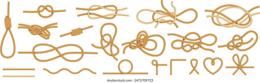 Collection various rope knots isolated white background. Detailed nautical knotwork educational purposes. Marine rope knots guide illustration