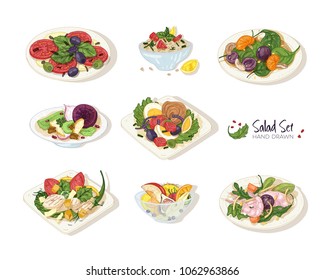 Colección de varias ensaladas sobre platos y en tazones aislados en fondo blanco - Tabbouleh, Nicoise, Caesar, Waldorf, fruta. Conjunto de comidas de restaurante sanas hechas a mano.Ilustración vectorial.