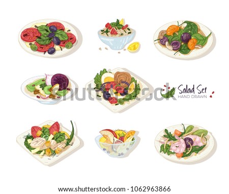 Collection of various salads lying on plates and in bowls isolated on white background - Tabbouleh, Nicoise, Caesar, Waldorf, fruit. Set of hand drawn healthy restaurant meals. Vector illustration.