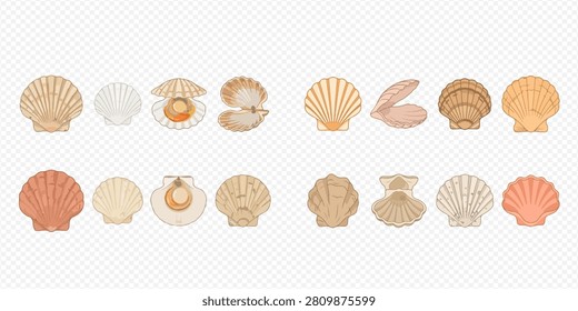 A collection of various scallop shells and clam shells, some open with pearls, in different colors and orientations, on a transparent background.