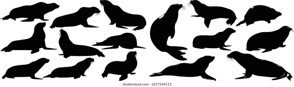 A collection of various sea lion silhouettes in different poses against a white background image view