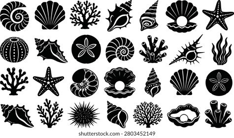 Collection of various sea shells, corals, starfish, sea urchins and pearls isolated on white background. Vector illustration of marine life elements.
