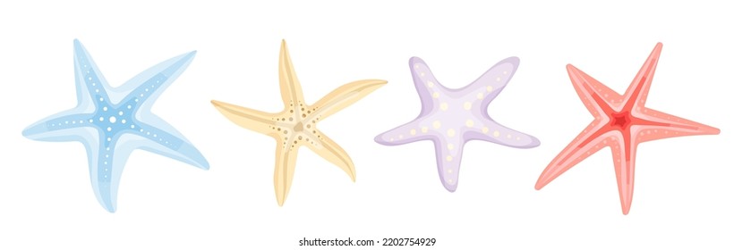 Collection Of Various Sea Shells, Echinoderms. Cartoon Vector Graphics.