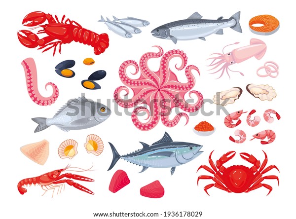 Collection of
various seafood: fish, shellfish, crustaceans, octopus. Healthy
fresh sea food. Sea creatures. Vector illustration, cartoon, icons,
symbols, signs, stickers, poster,
banner
