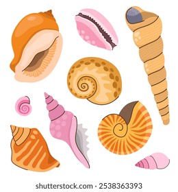 Coleção de várias conchas. Conchas marrons, amarelas e rosadas. Ilustração de vetor de desenhos animados.