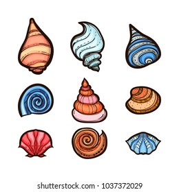Collection of various seashells isolated on white background. Set in colored sketch style. Hand drawn vector illustration