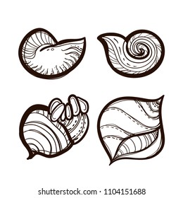 Collection of various seashells isolated on white background. Set in sketch style. Hand drawn vector illustration. Coloring book for adults