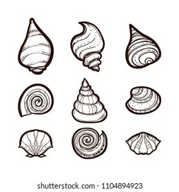 Collection of various seashells isolated on white background. Set in sketch style. Hand drawn vector illustration. Coloring book for adults