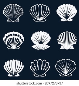 collection of various seashells isolated on dark background