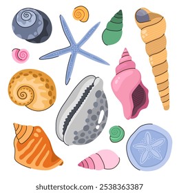 Colección de varias conchas marinas, estrellas de mar. Colección de concha. Ilustración vectorial de dibujos animados.