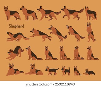 A collection of various Shepherd Dog movements. flat vector illustration.