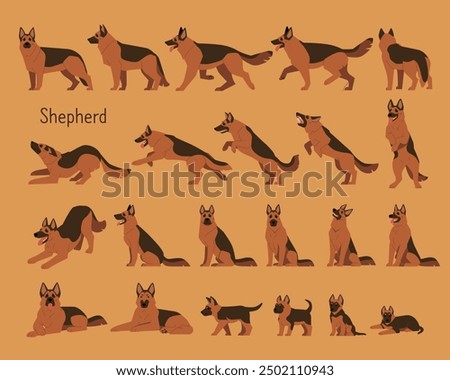 A collection of various Shepherd Dog movements. flat vector illustration.