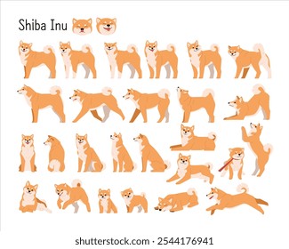 Uma coleção de vários movimentos Shiba Inu. Personagem de cão em ilustrações de estilo simples de design plano.