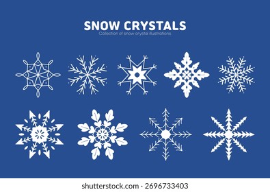 Una colección de varias ilustraciones de cristal de copo de nieve