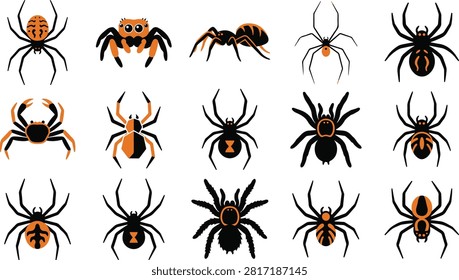Collection of various spider species isolated on white background showing different shapes sizes and colors of arachnids for science