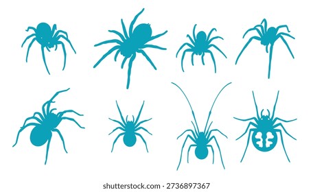collection of various spiders illustrated in a flat graphic 