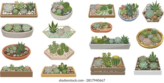 A collection of various succulent plants and cacti arranged in different pots, planters, and terrariums, showcasing diverse shapes and colors, perfect for home decor.