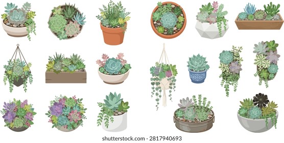 A collection of various succulent plants, including echeveria and sedum, in different pots and planters, showcasing diverse arrangements and colors.