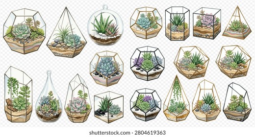A collection of various succulent terrariums in different geometric glass containers, showcasing a variety of plants and decorative elements.
