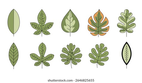 Collection of Various Tropical Botanical Foliage Designs with Distinct Textures and Shapes