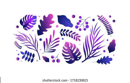 Collection of various tropical leaves isolated on white background. Gradient purple exotic plants, jungle foliage. Trendy summer leaf set. Modern colorful vector illustration