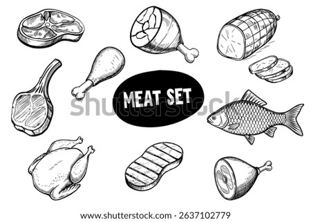 A collection of various types of meat including chicken, beef, pork, and fish. The meats are illustrated in a sketch style