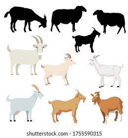 Collection of the various vector of goats isolated on white background