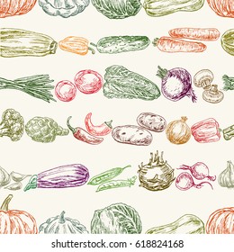 collection of the various vegetables 