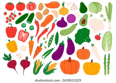 Collection of various vegetables. Healthy vegetarian food. Organic natural crops. Agriculture produce, harvest. Hand drawn flat vector illustration isolated on white background