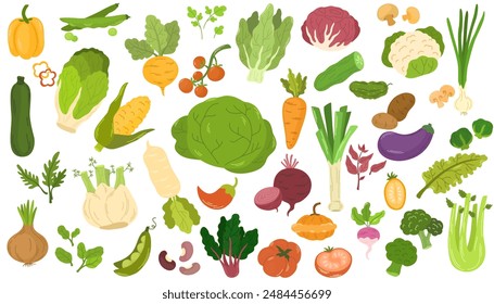 Colección de varias verduras aisladas sobre fondo blanco. Comida vegetariana saludable. Paquete de cultivos naturales orgánicos, ensaladas, verduras y hierbas. Ilustración vectorial colorida en estilo plano de dibujos animados