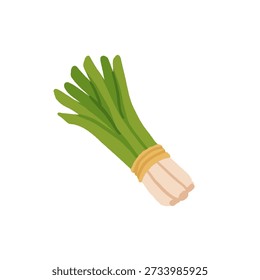 Sammlung von verschiedenen Gemüse einzeln auf weißem Hintergrund. Gesundes vegetarisches Essen. Bio-Pflanzen, Salate, Grünpflanzen und Kräuter. Farbige Vektorgrafik im flachen Cartoonstil