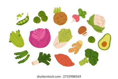 Colección de varios vegetales aislados sobre fondo blanco. Comida vegetariana saludable. Paquete de cultivos naturales orgánicos, ensaladas, verduras y hierbas. Ilustración vectorial colorida en estilo plano de la historieta
