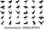 Collection of various wild bird silhouettes including waterbirds waders and tropical species rendered in minimalist vector style design elements for nature graphics