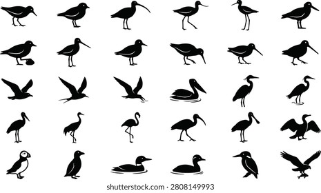 Collection of various wild bird silhouettes including waterbirds waders and tropical species rendered in minimalist vector style design elements for nature graphics