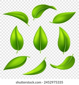 Collection of vector 3D green fresh leaves. Organic design element. Ecology symbol.