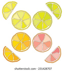 Collection of vector 4 citrus slices. Lemon, orange, grapefruit and lime.
