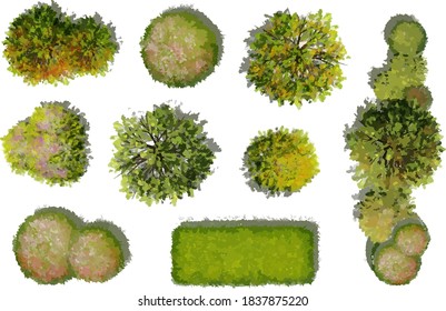 Collection of vector abstract watercolor green tree top view isolated on white background  for landscape plan and architecture layout drawing, elements for environment and garden.