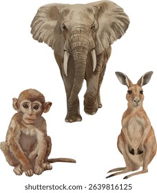 Collection of vector animal cliparts including elephant, monkey, and kangaroo. Great for kids’ books, posters, and digital designs.