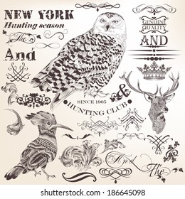 Collection  vector animals and floral elements  for design