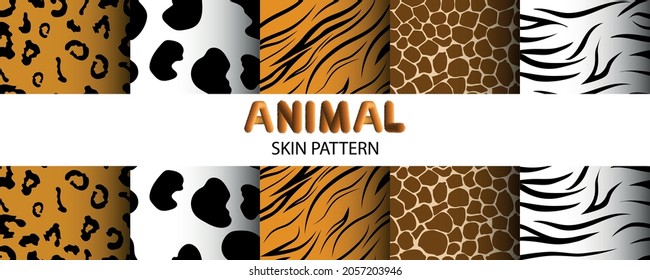 Collection of vector animal's skin patterns