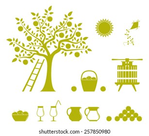 collection of vector apple harvest icons isolated on white background