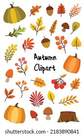 Collection of vector Autumn elements isolated on white background, fall clip art design with colorful pumpkins, autumn leaves, berries, mushrooms, acorns. Autumn harvest elements