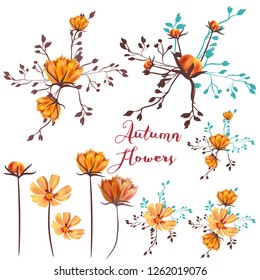 Collection of vector autumn flowers for design
