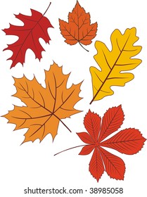 Collection of vector autumn leave shapes