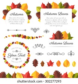 Collection of vector autumn leaves and design elements.