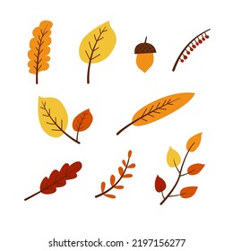 Collection of vector autumn leaves. Set of fall season elements in a flat style with editable stroke. Botanical elements, twig, acorn.