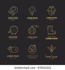 Collection of vector autumn logos. Vector pictogramm or icon set. Unique and modern bundle of linear fall symbols isolated on background.
